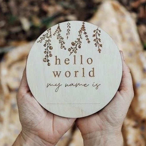 'Hello World - My Name Is...' Etched Plaque [write the name yourself]