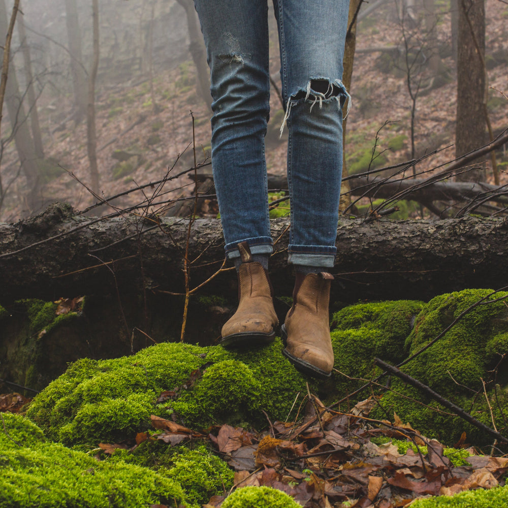 A note to you all. And letting go.