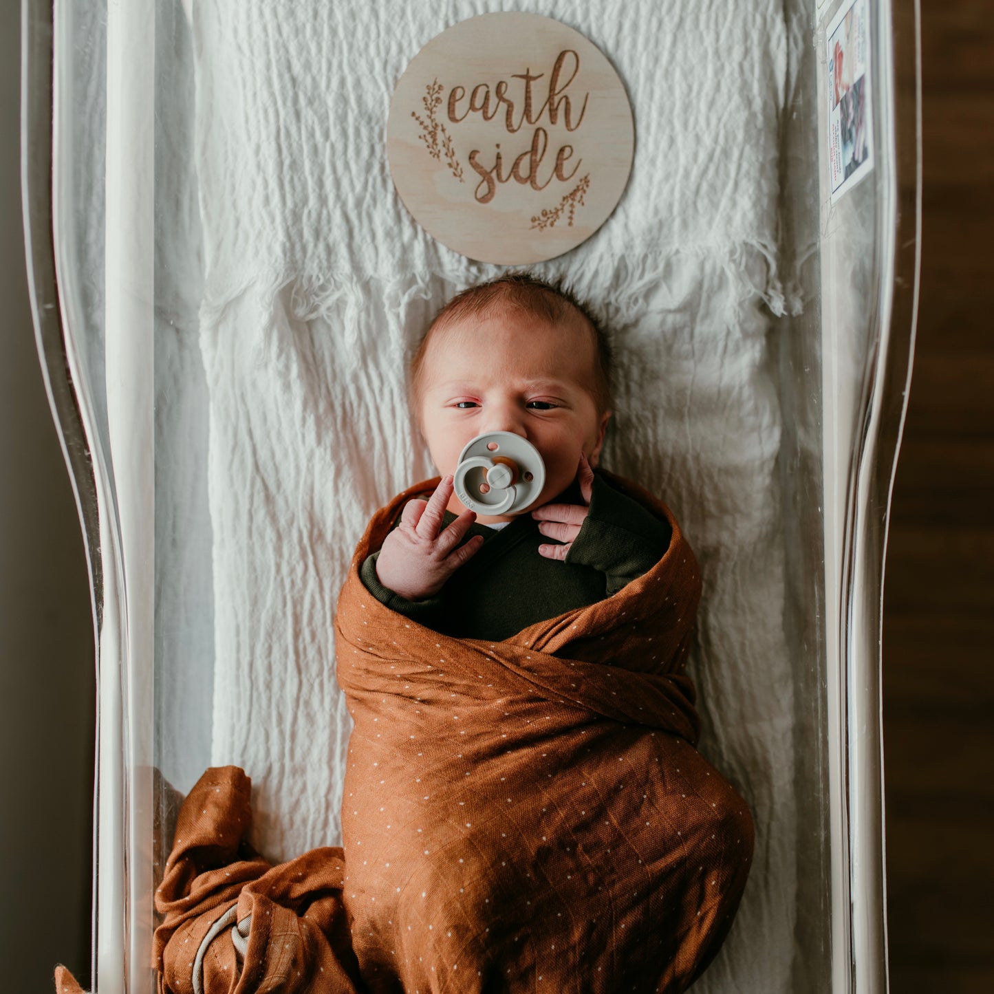 Earth Side Birth Announcement Plaque